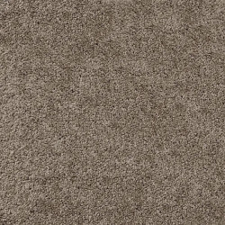 Ковролін AW Terra Plain 40