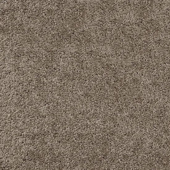 Ковролін AW Terra Plain 40