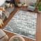 Килим ALMIRA 0074B L.Grey