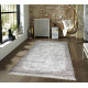 Килим ALMIRA 0055B Beige/Brown прямокутник