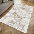 Килим GARDEN 6542A L.BROWN 200x290