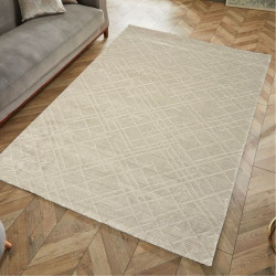Килим NEW GARDEN 0303A Beige/Beige прямокутник